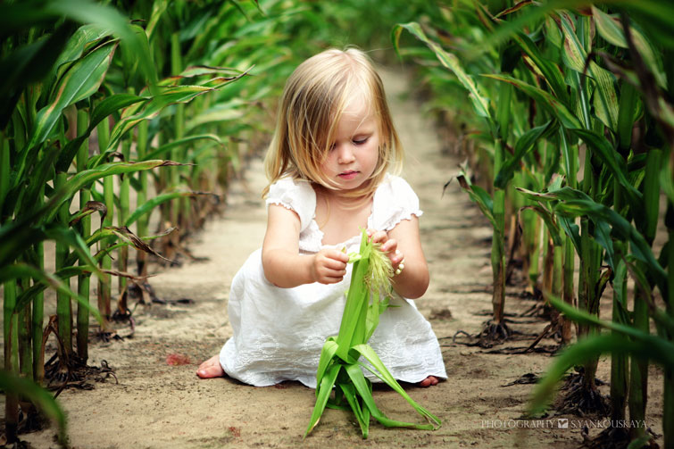 Das Mädchen im Mais