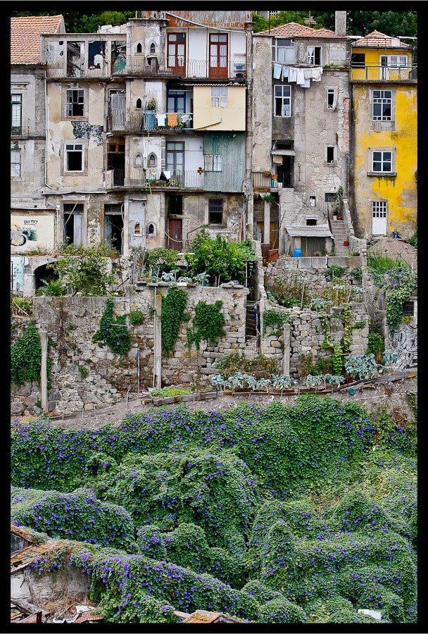 Was hier lebendig Slums