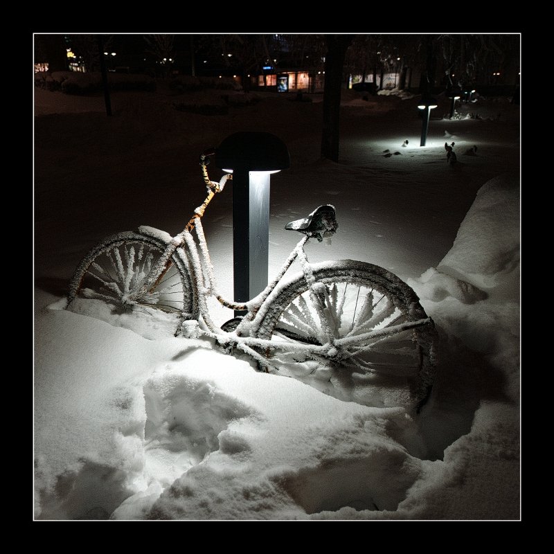 Kurze Sommer auf der Nordhalbkugel ...