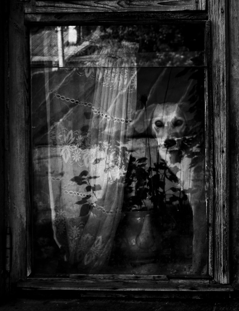 Herbst Traum vom Haus ...