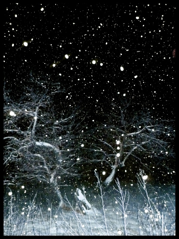 und es ist Winter. . .