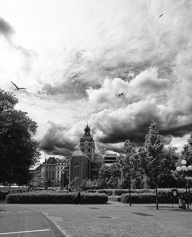 Arten von Stockholm *