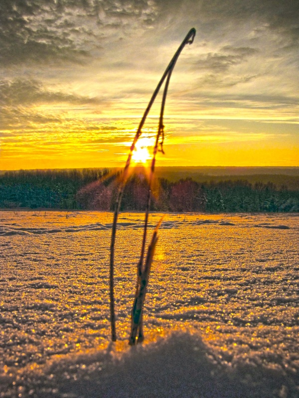 Winter Sonnenuntergang