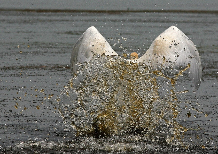 Angel meiner Seele nicht lassen Sie mich!