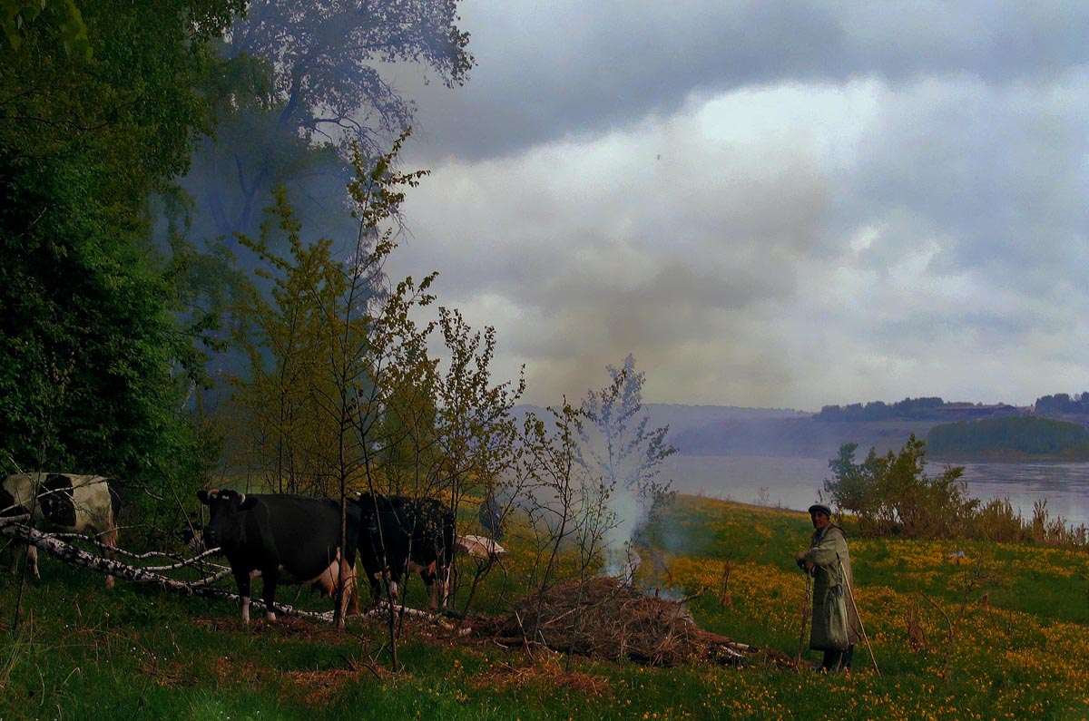 Studieren mit Hirten