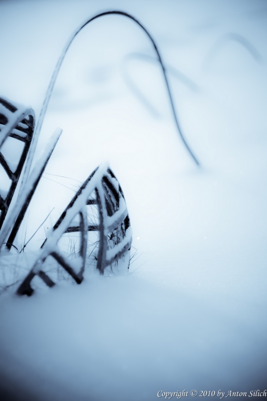 Pacman it,s dead_X_n