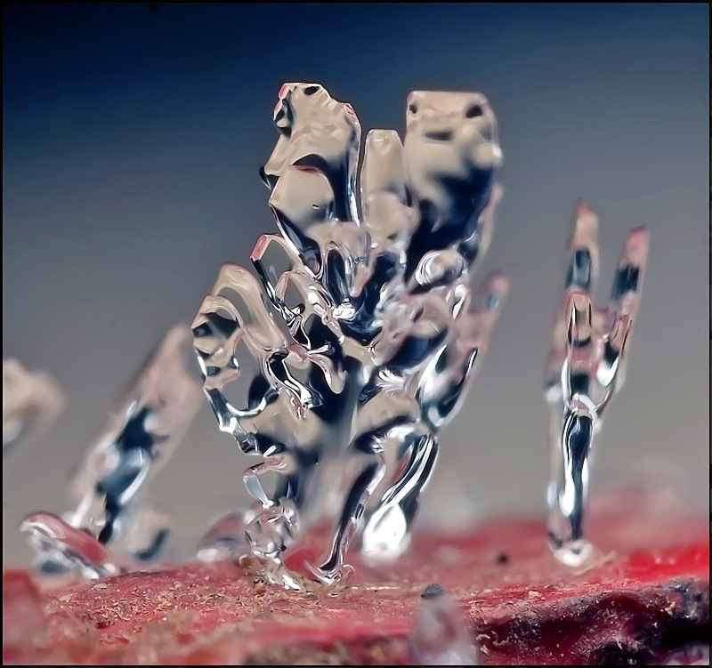 Spannung und Ruhe ...