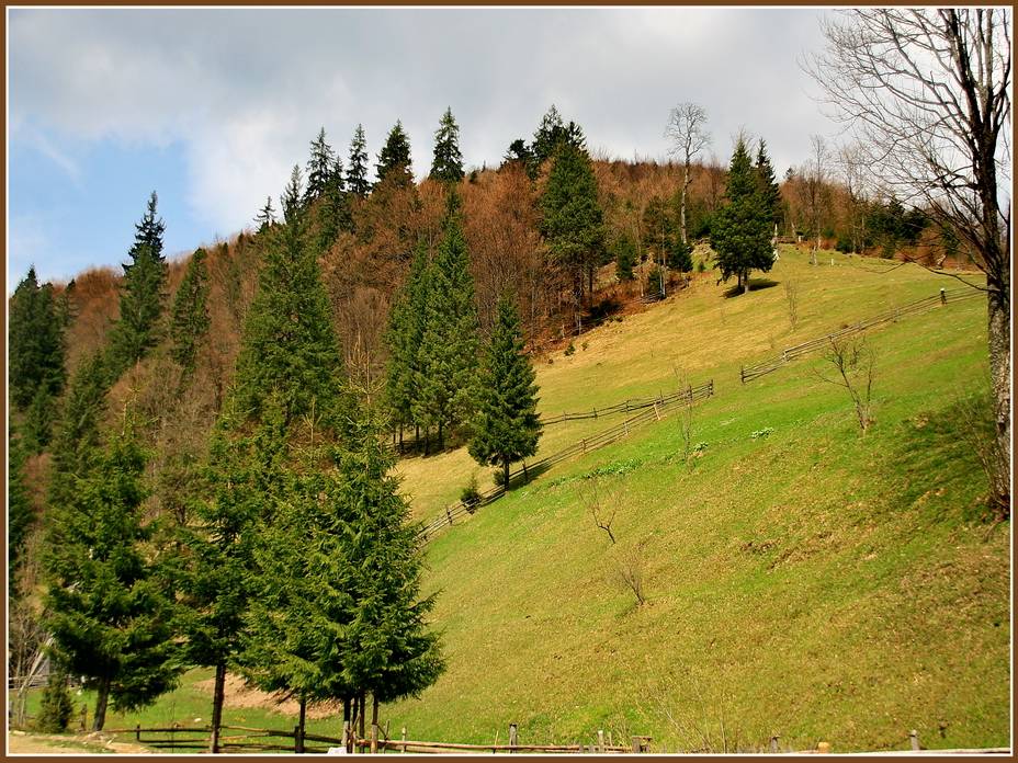 Der Weg zur Sinevir.
