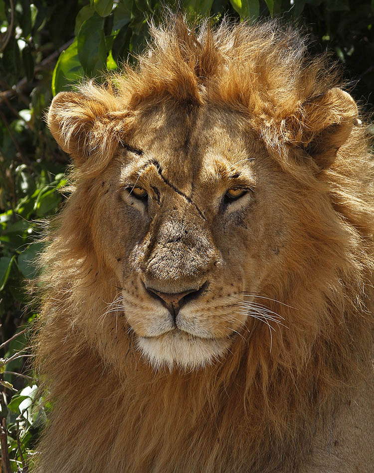 Ein richtiger Junge!