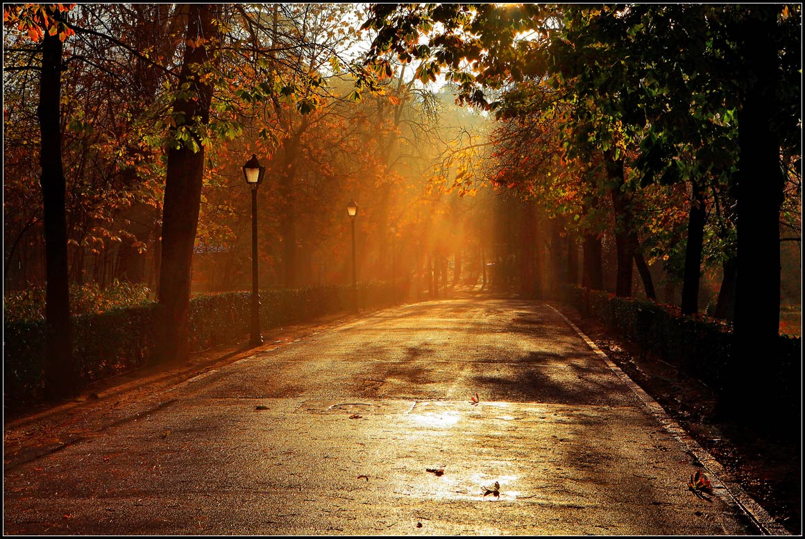 Winter in Madrid ................