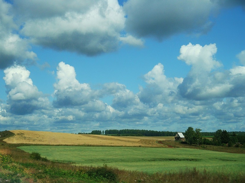 Niwa komprimiert ...