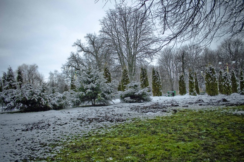 am Rande des Winters