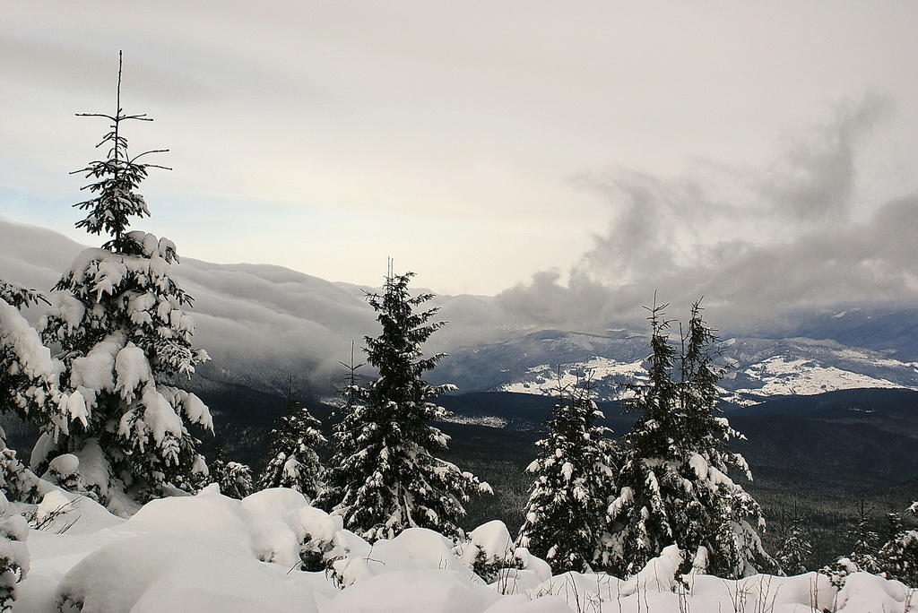 Am Hang des Bergrückens Chornogorskogo