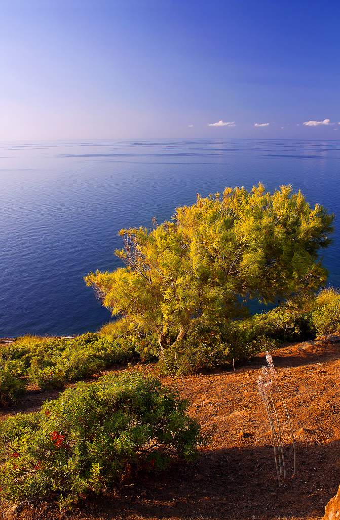 Blick auf das Mittelmeer mit Fr. Ustica