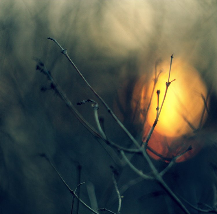 with or without you...