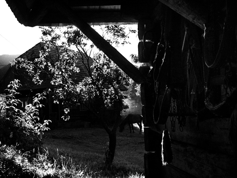 Stillleben von alten Sachen ...