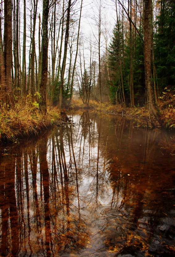 Bespannung Speicher, wie das Licht ...