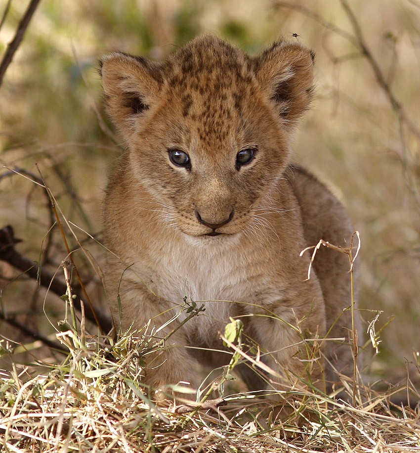 Hallo Welt! Und du was?