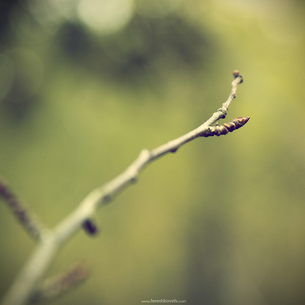 [Ein Moment der Stille}