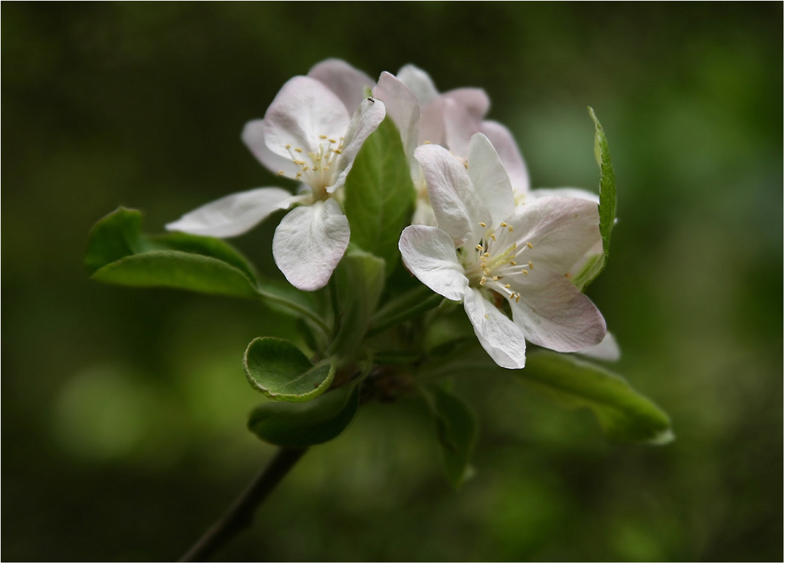 "Es ist besser, dass keine Farbe ...."