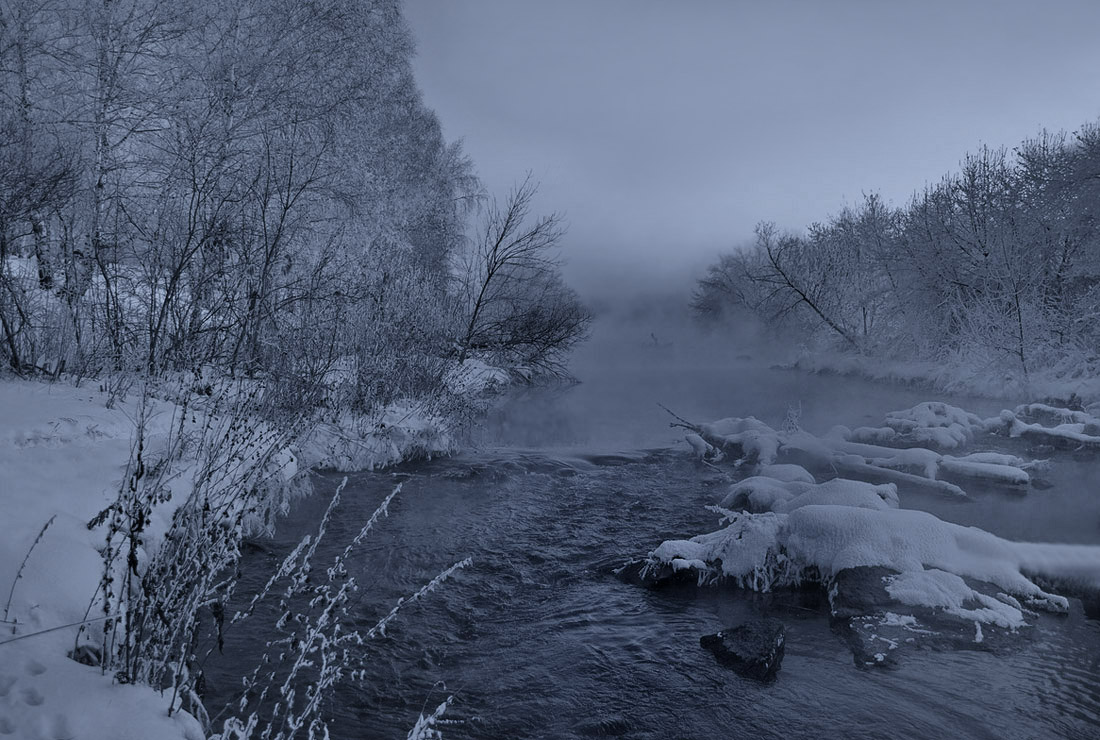 Wenn nur leben für das Frühjahr warten ... 2