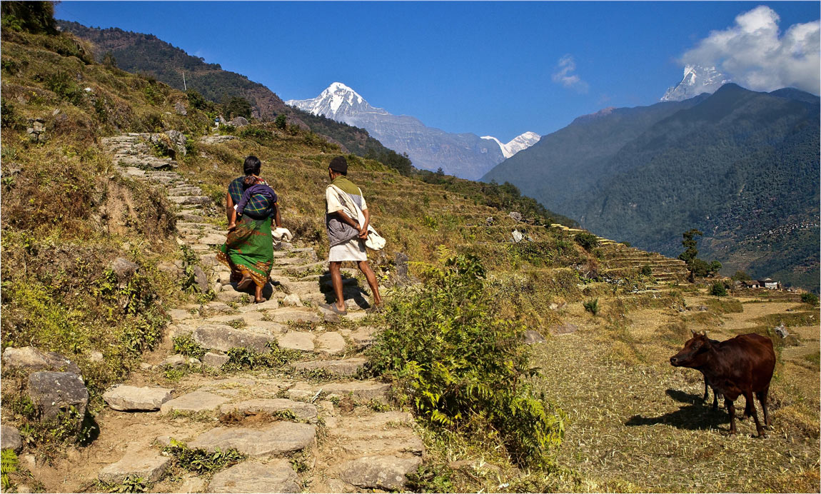 Bei einem Besuch ...