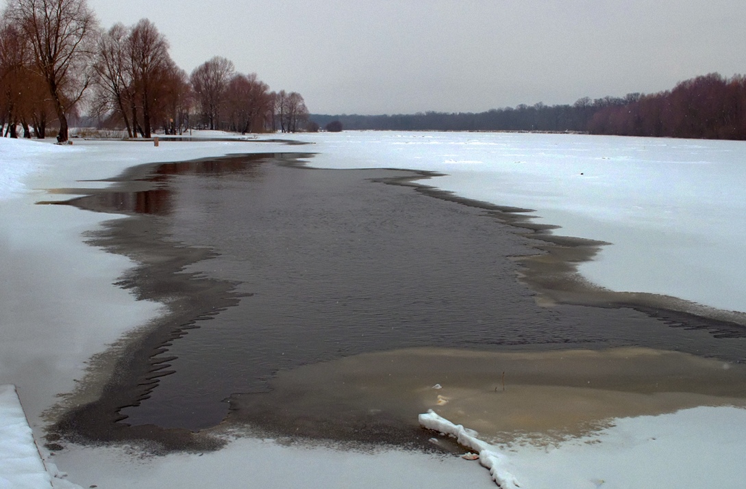 Vorboten des Frühlings