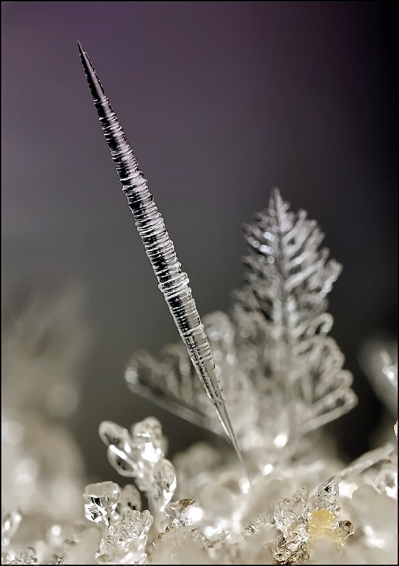 CPIS LCA oder Stift ...