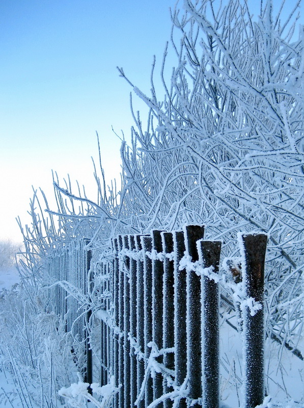 Außerhalb des Zauns, komplizierte Muster ...