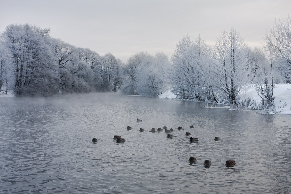 ................ ................ Kalte Jahreszeit