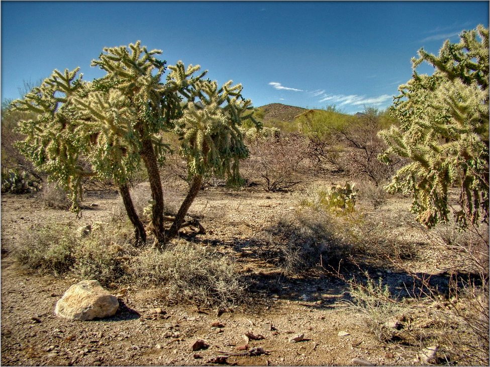 Rand des harten Hitze .. 2