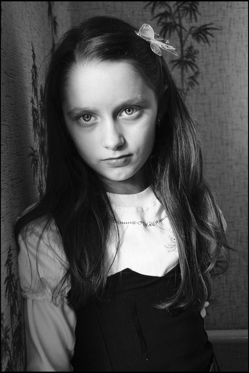 Porträt eines Schmetterlings