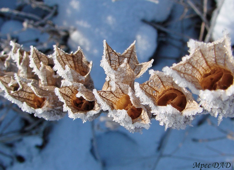Leben ist vergangen, das Leben der Zukunft.