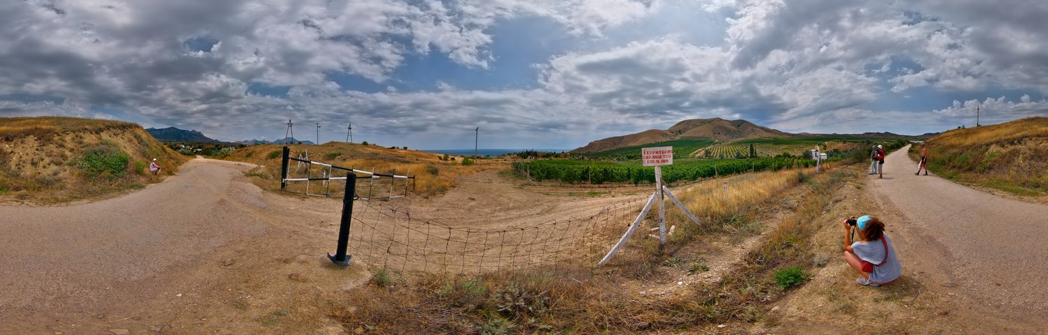 Sun Valley Vineyards