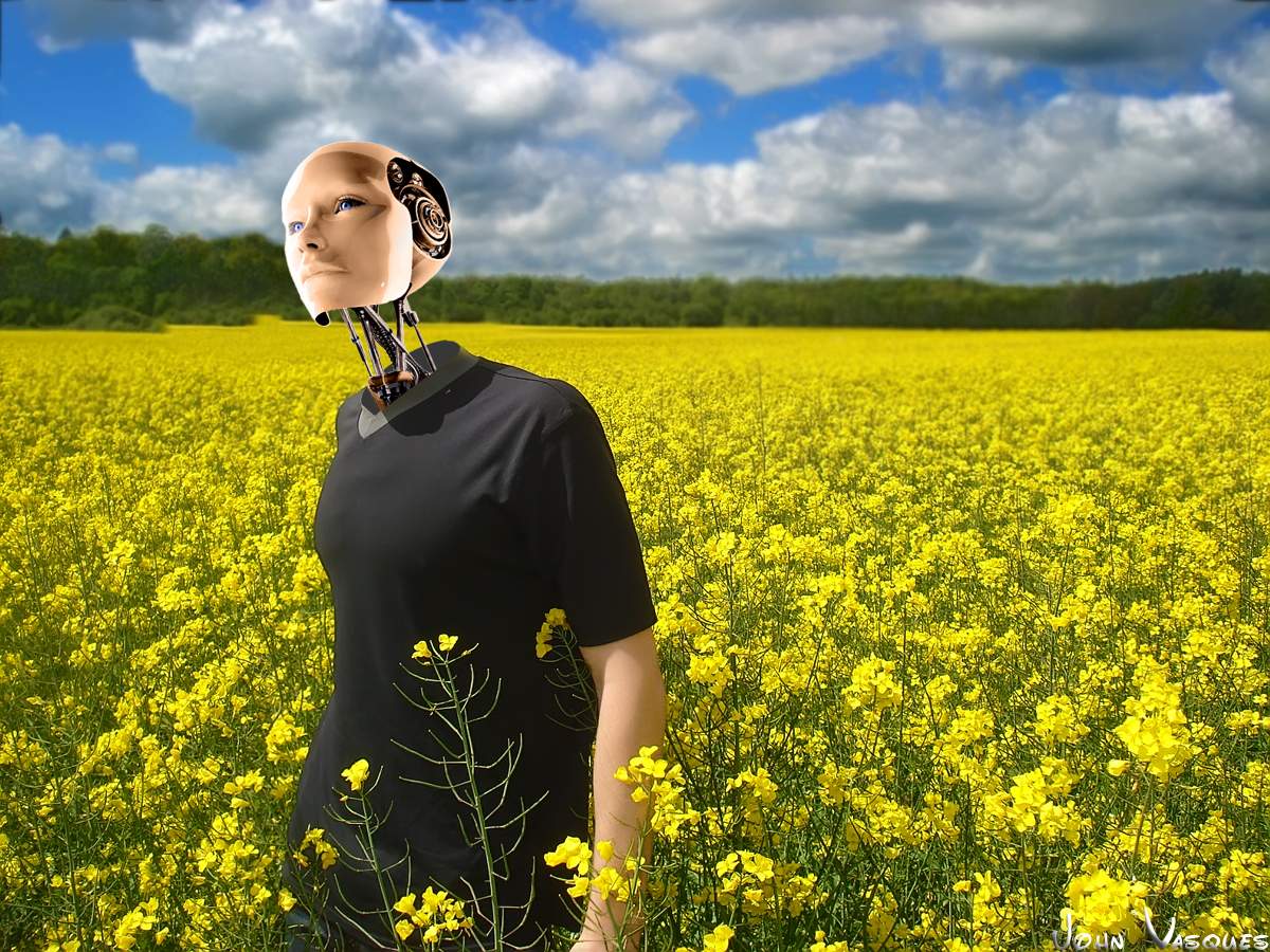 Meine Welt - meine Regeln