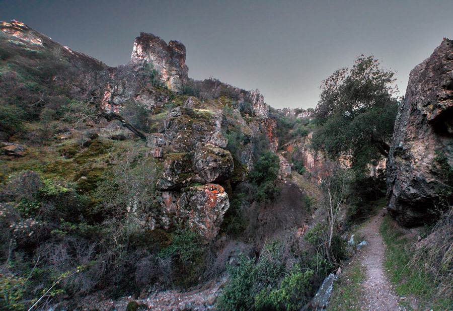 "Wo bist du Weg hat mich gebracht ..."