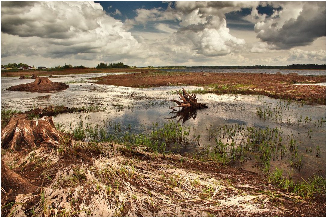 tut proshol vodjanoj...