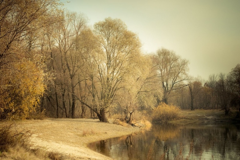 Eines Tages im November