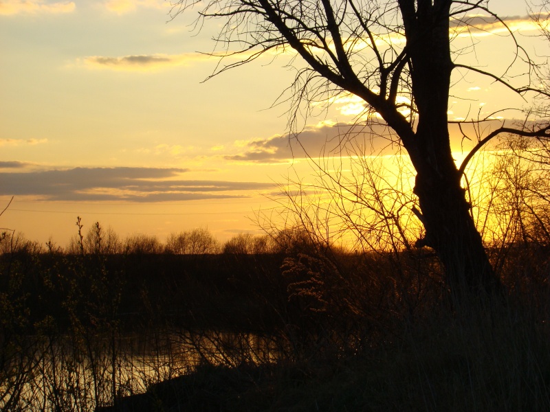 Dreimal vor Sonnenuntergang