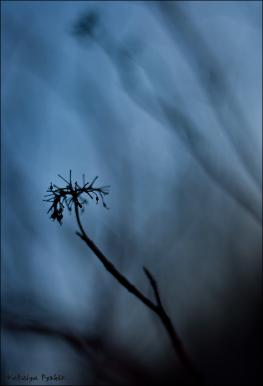 Geister der Vergangenheit