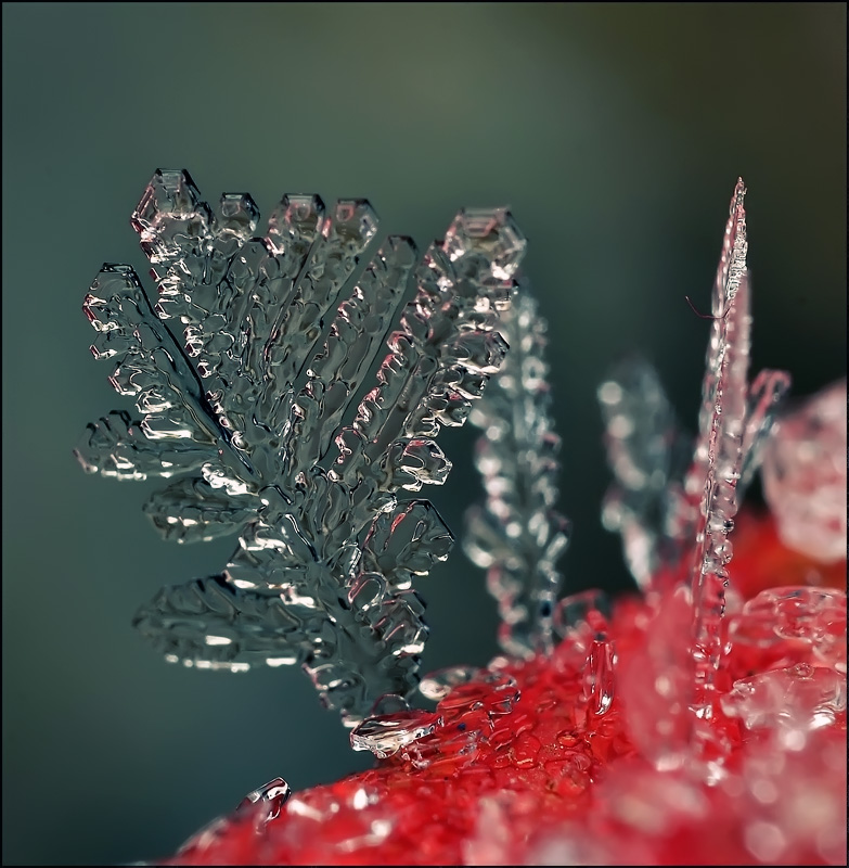 Sea Kieselsteine ...