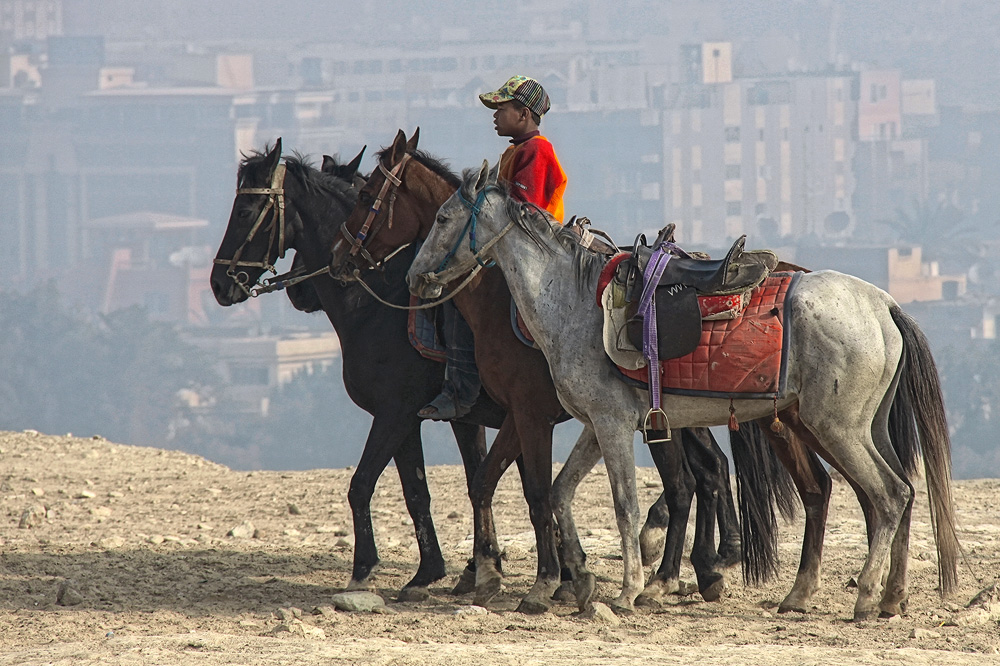 Kinder sind keine Routine