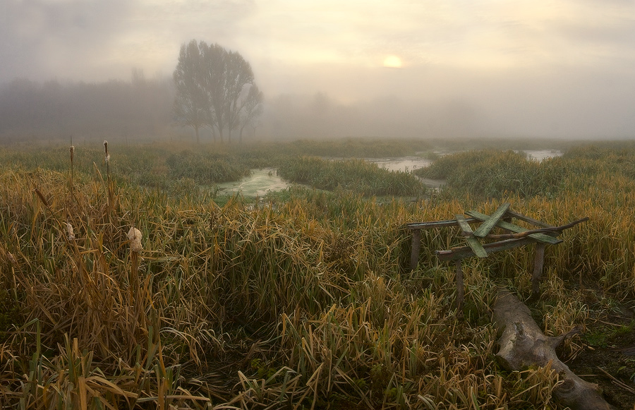 Dort im Herbst Initial