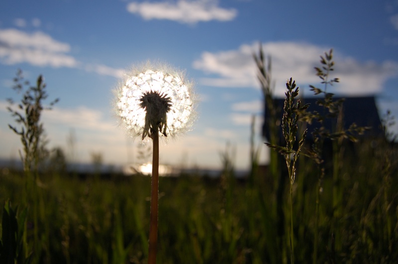 unter der heißen Sonne