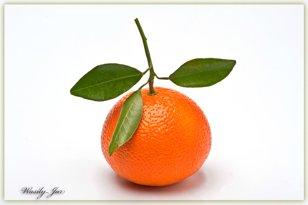 Homosexuell Einrichtung ..