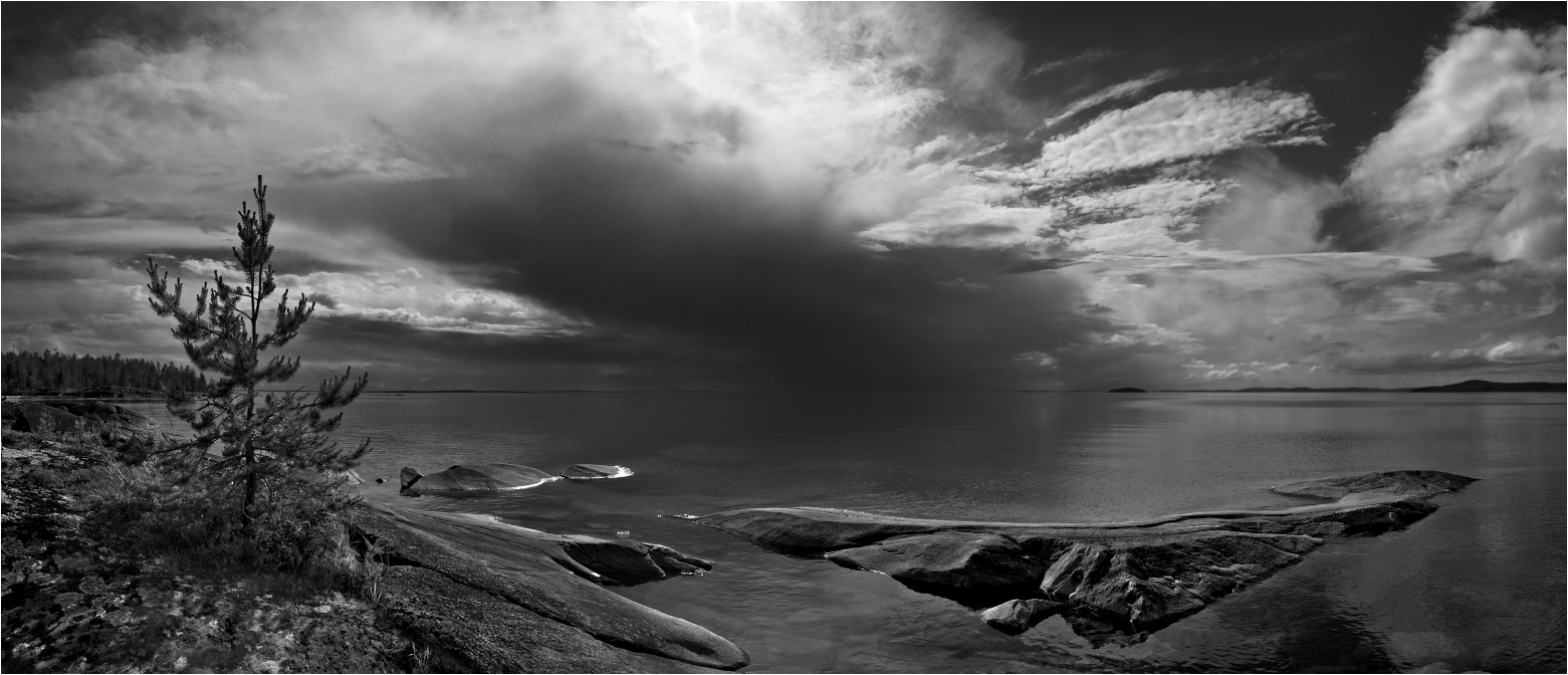 Besorgniserregenden Zustand der Natur ...