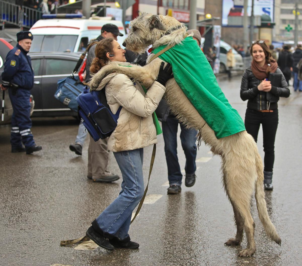 Big Love "kleinen" Freund