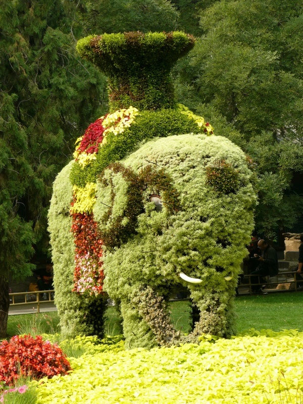 Elephant