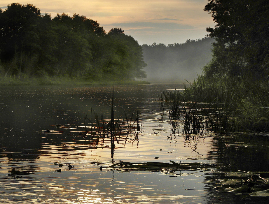 Bohrmaschinen Nickerchen