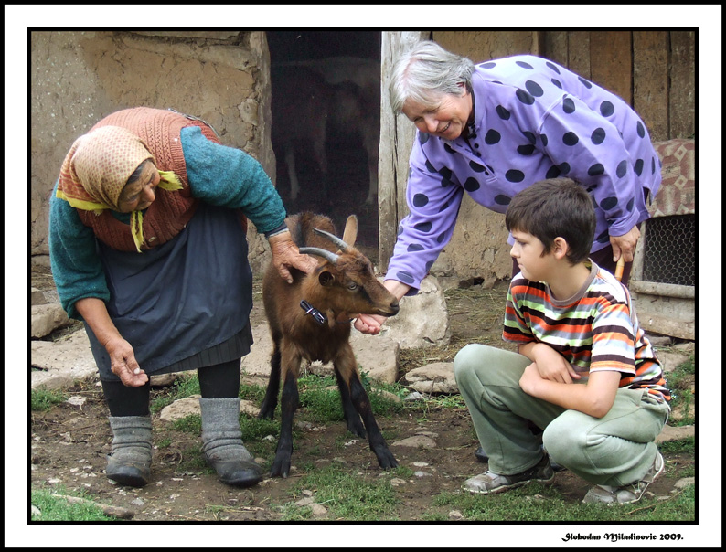 Urban child and country life